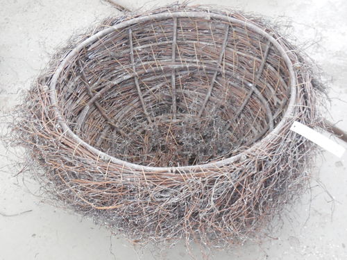 Nest, groß